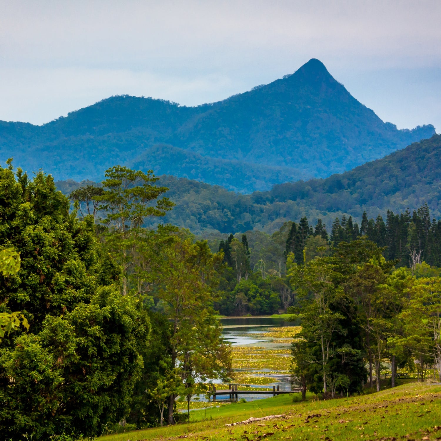 Mt Wollumbin - Photo by data9090 on Freeimages.com